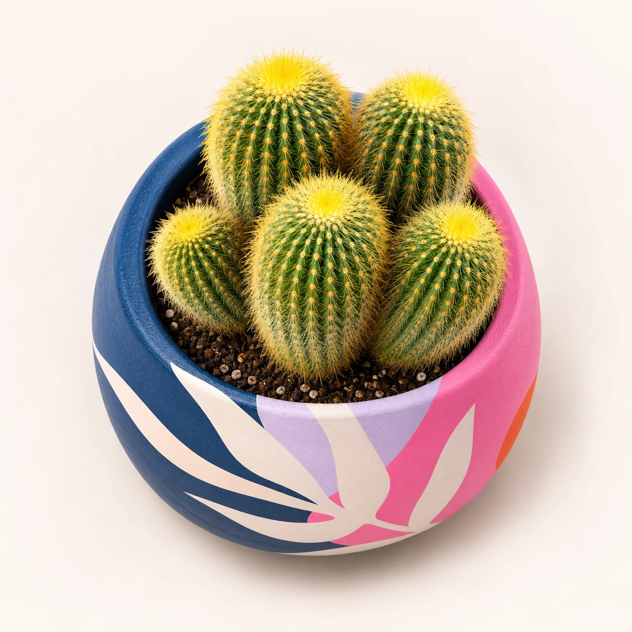 Bloom Barrel